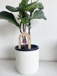 Arch Plant Stake