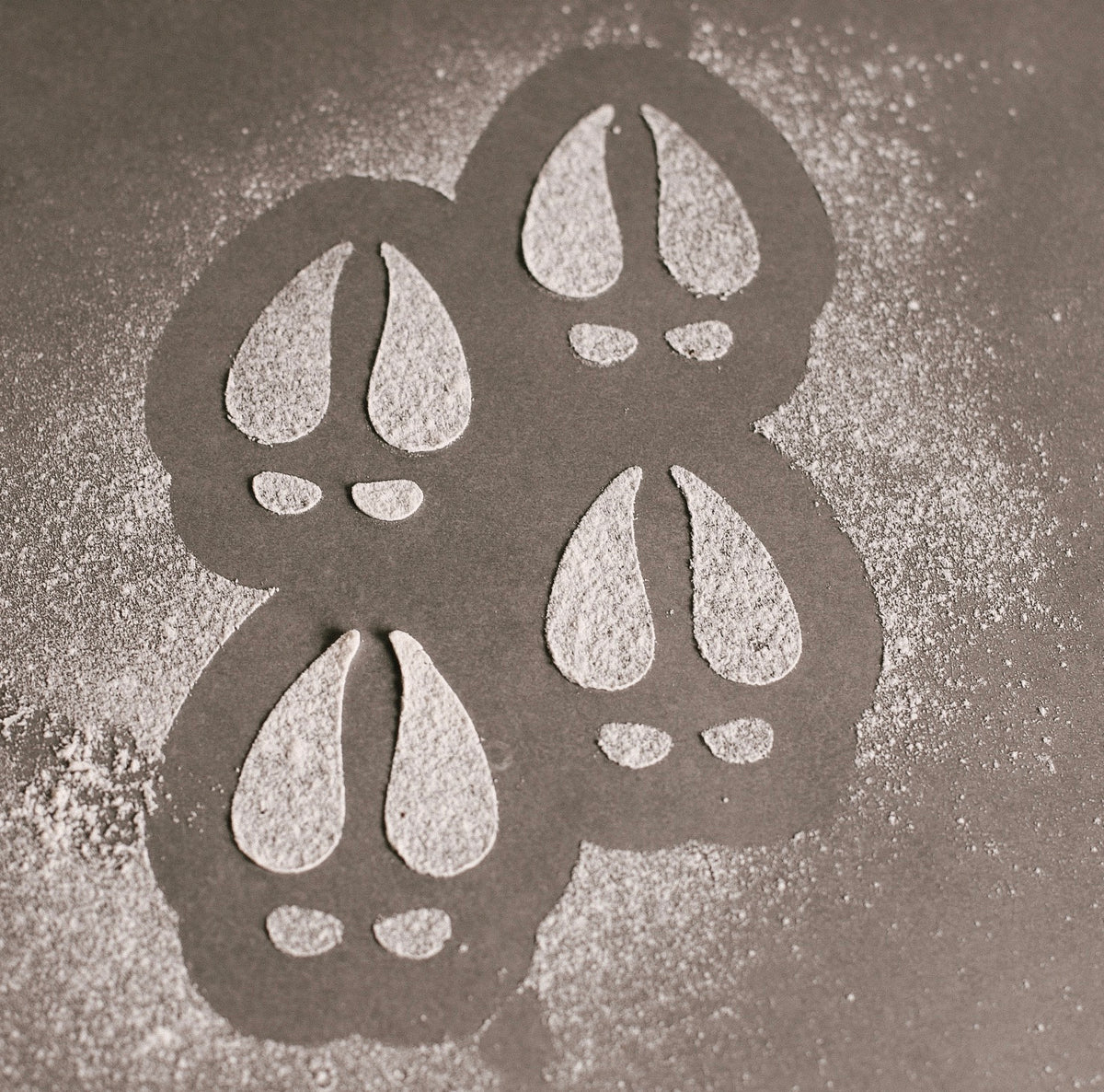 Reindeer Footprints